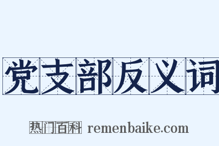 党支部反义词是什么意思的图片